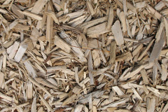 biomass boilers Dulford